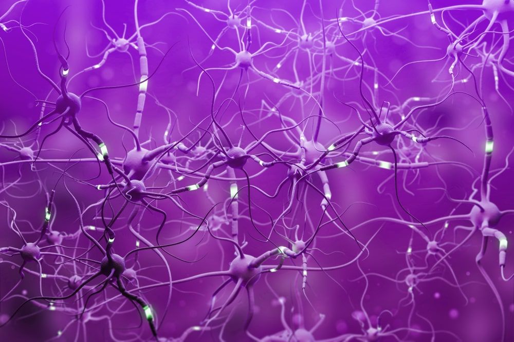 Purple neurons 